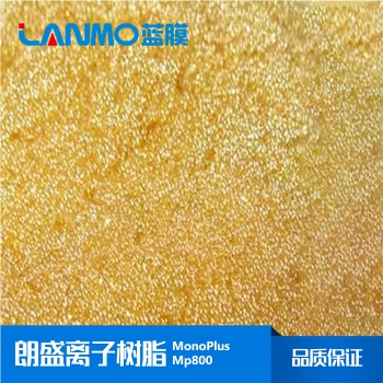 朗盛MonoPlus MP800强碱大孔阴离子交换树脂-蓝膜
